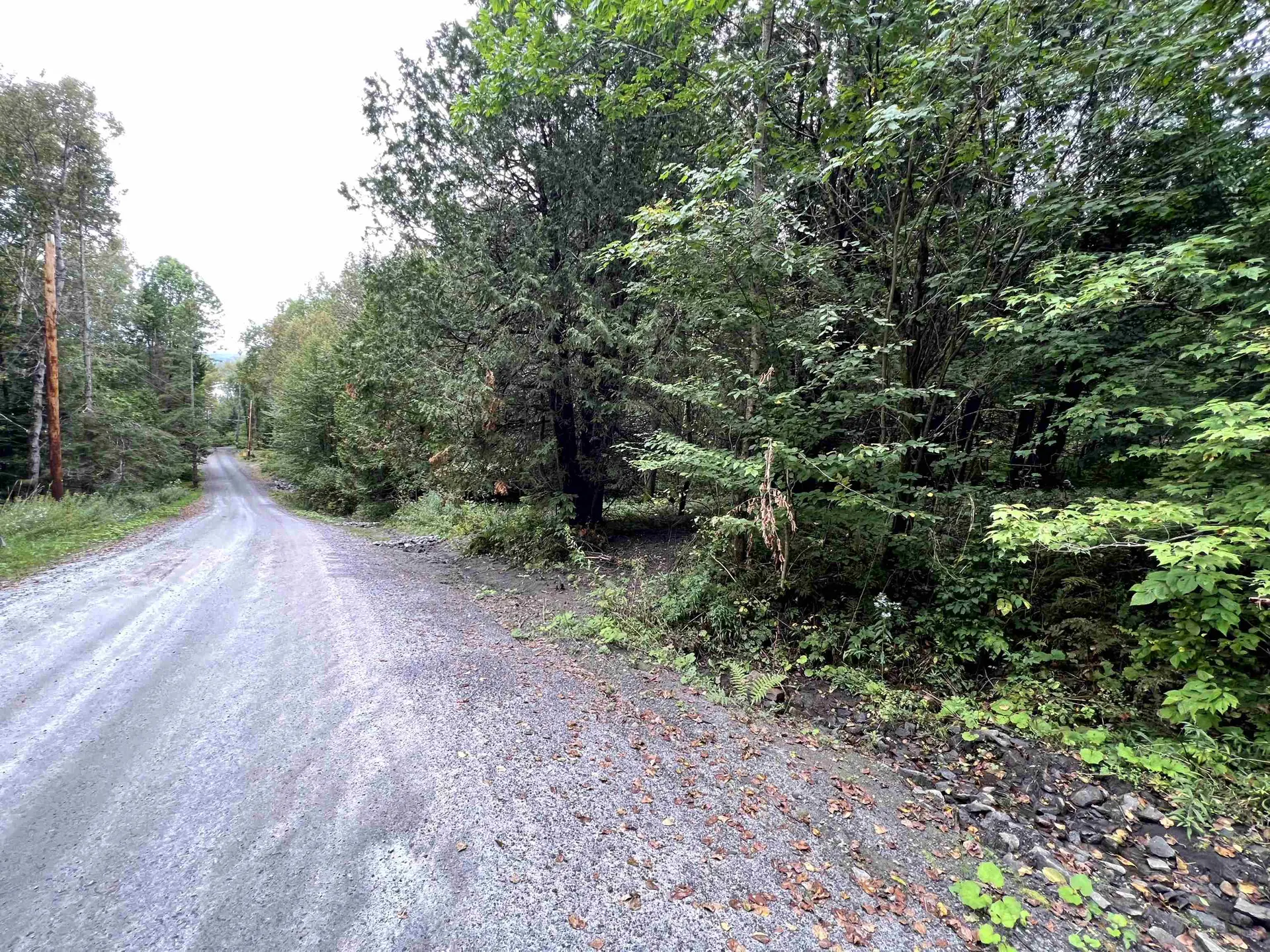 - Wayesses Shore Road Morgan VT 05853