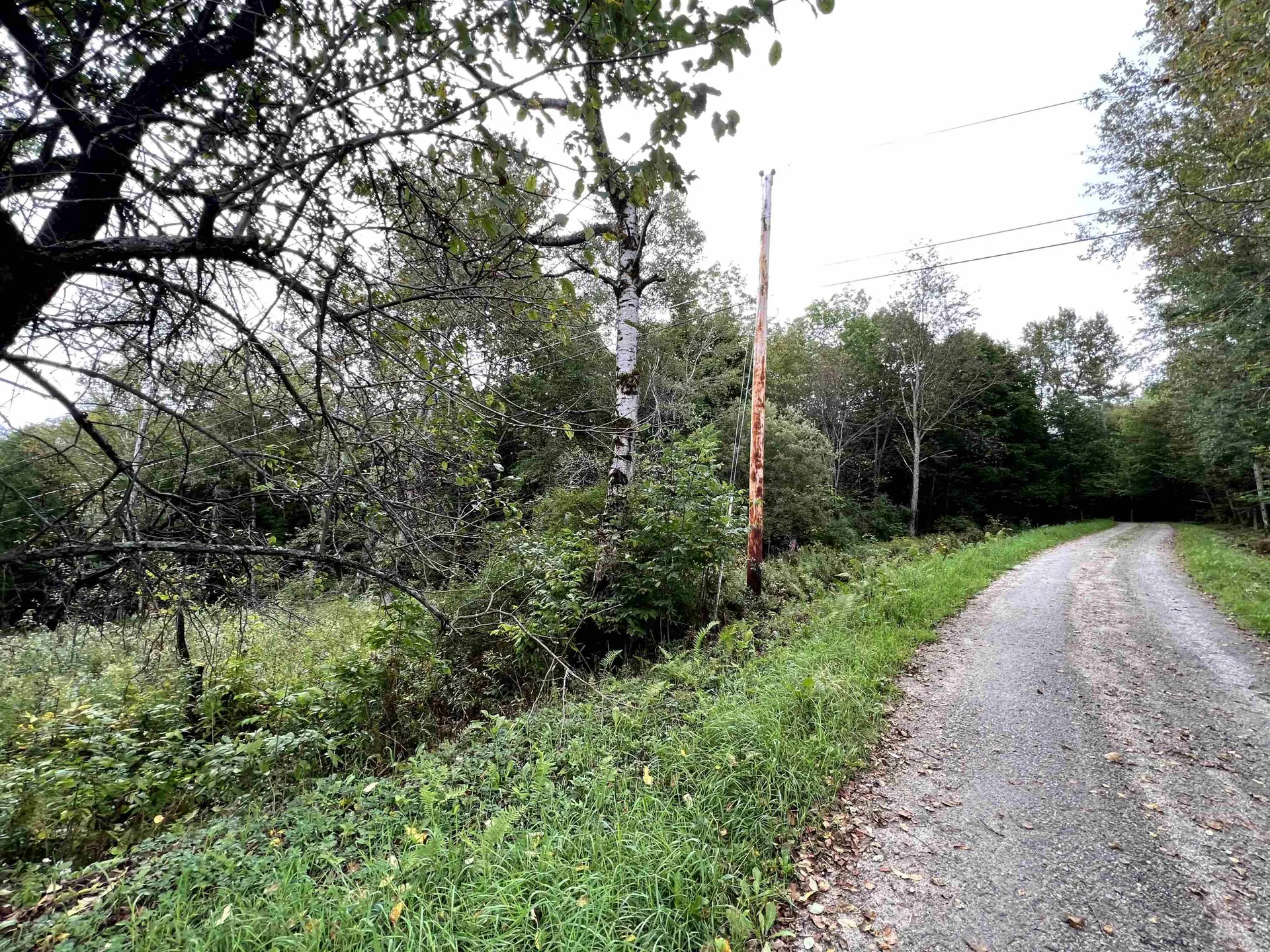 - Wayesses Shore Road Morgan VT 05853