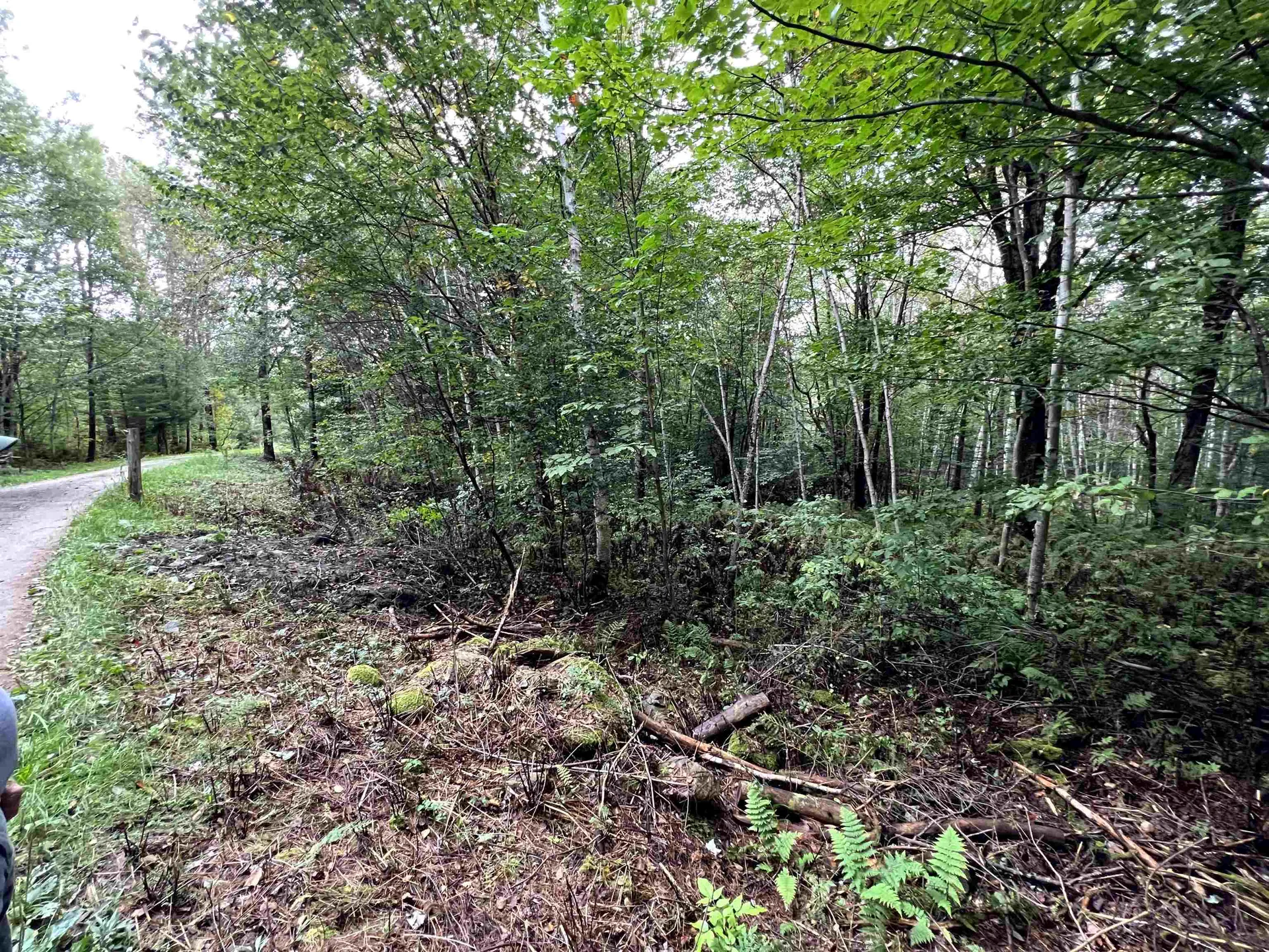 - Wayesses Shore Road Morgan VT 05853