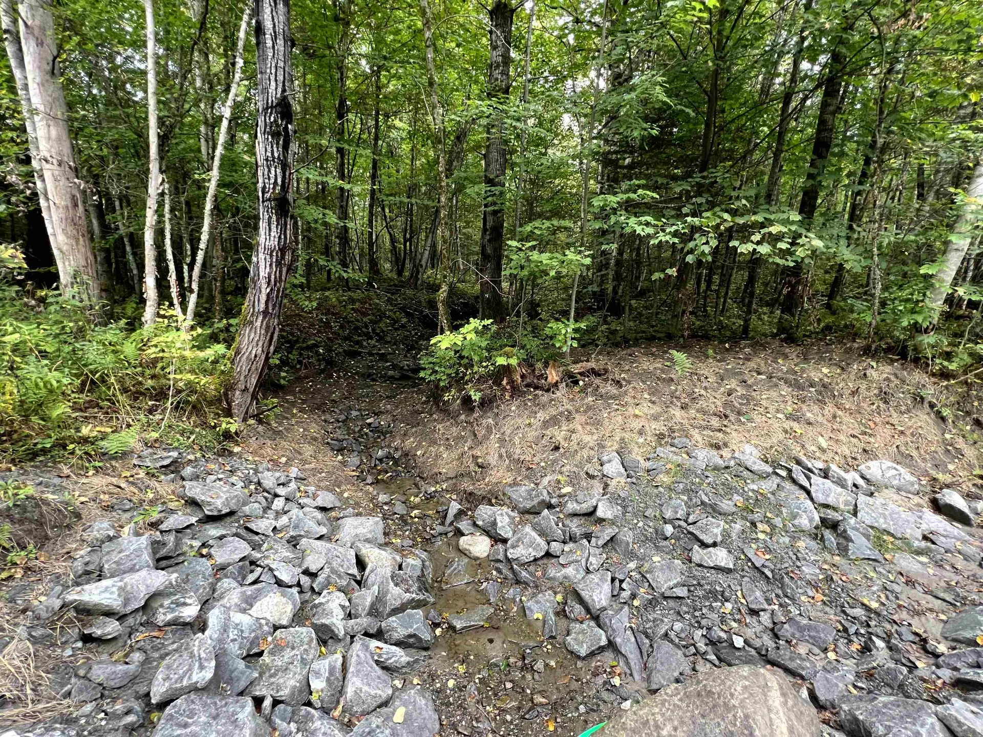 - Wayesses Shore Road Morgan VT 05853