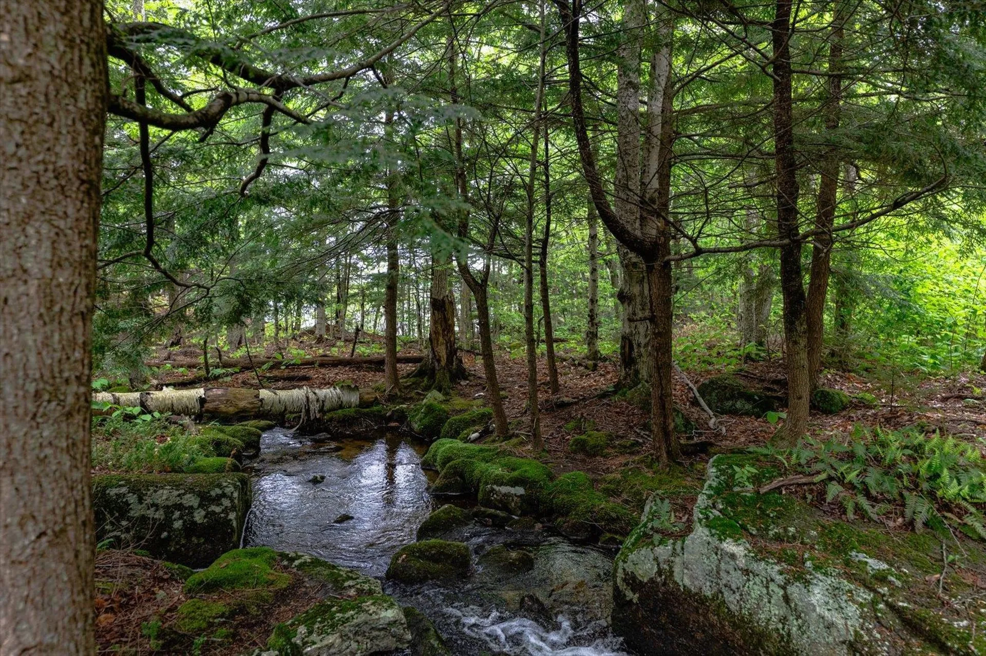 138 Miller Drive Nelson NH 03457