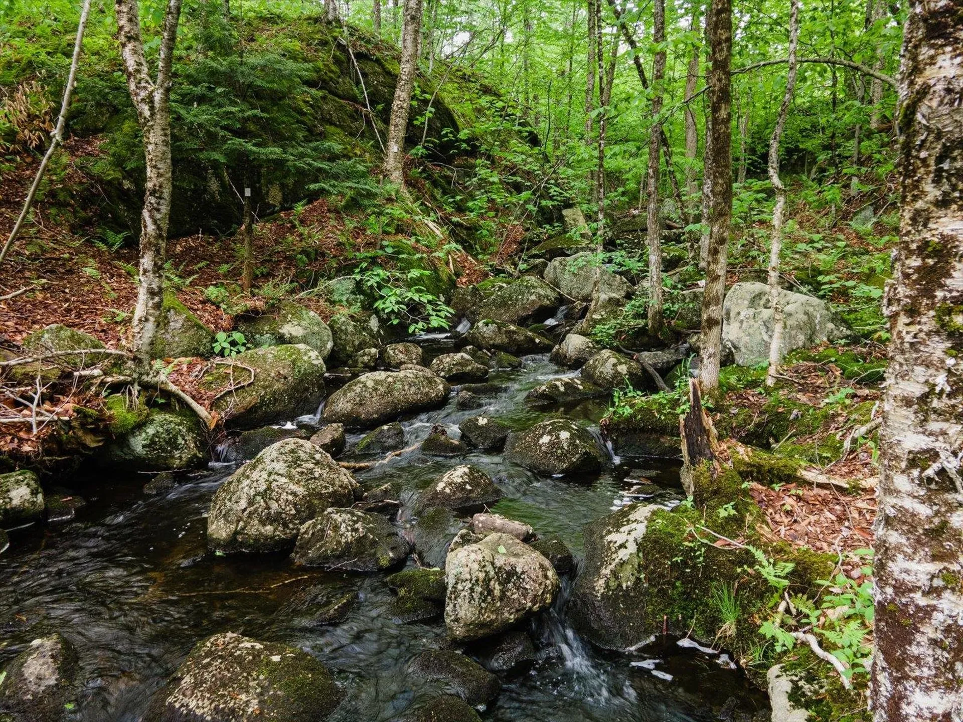 138 Miller Drive Nelson NH 03457