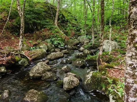 138 Miller Drive Nelson NH 03457