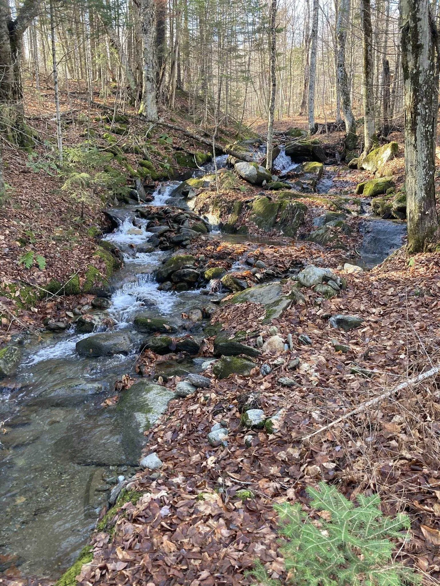 901 Journeys End Road Jay VT 05859