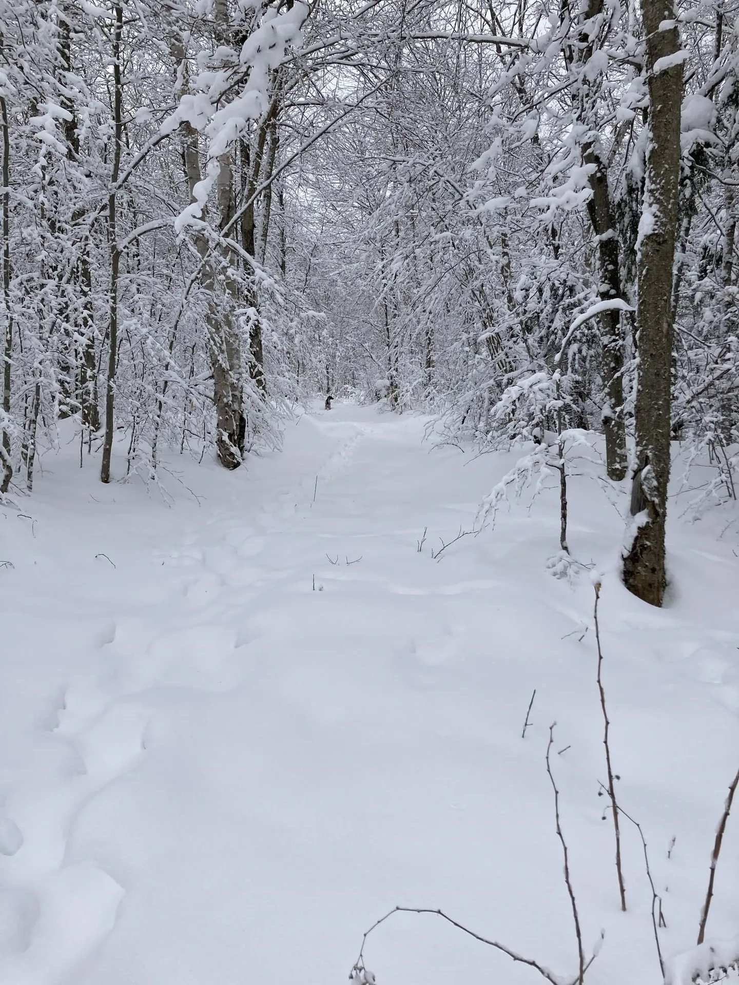 901 Journeys End Road Jay VT 05859