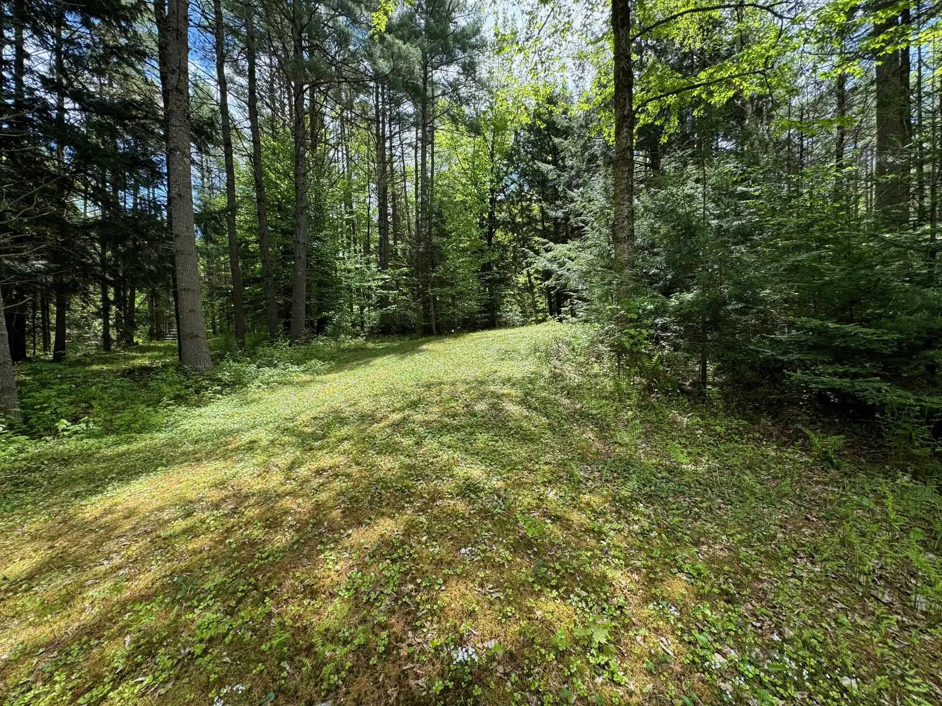 427 Sanderlin Drive Newbury VT 05051