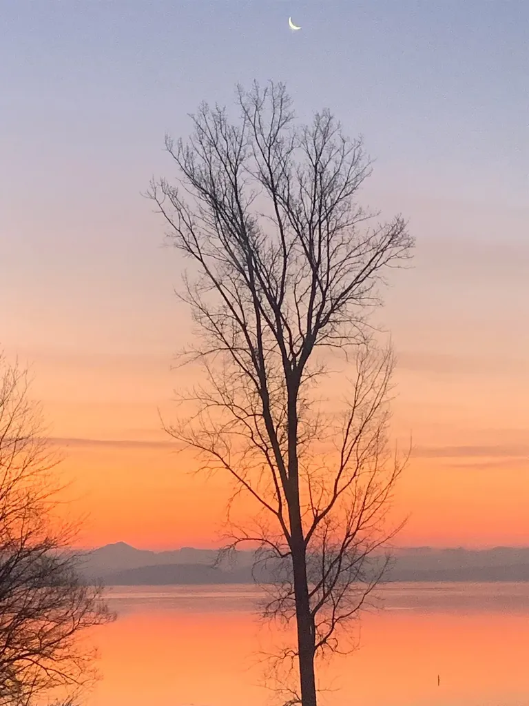 16 Turtle Bay Lane South Hero VT 05486