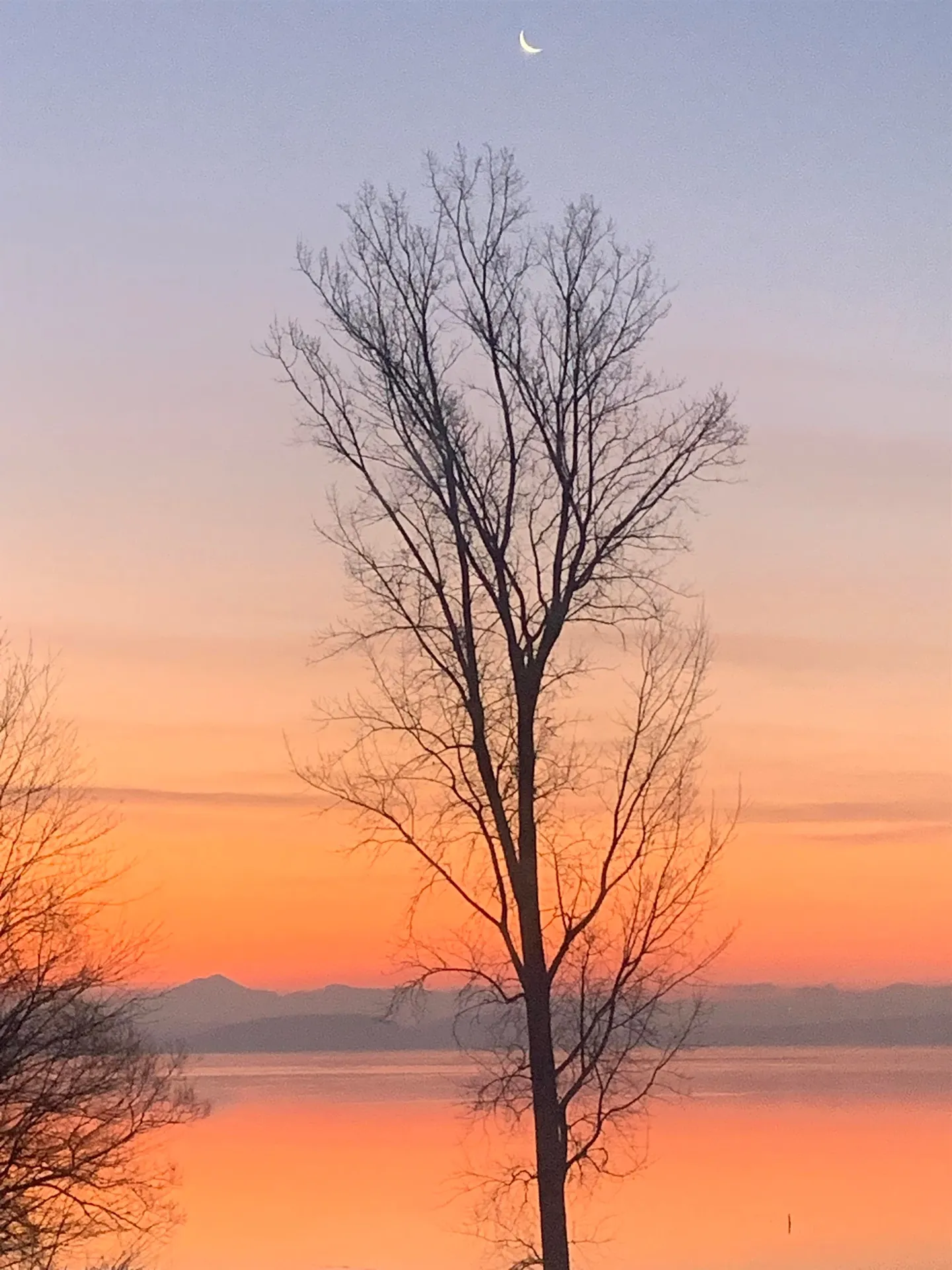 16 Turtle Bay Lane South Hero VT 05486