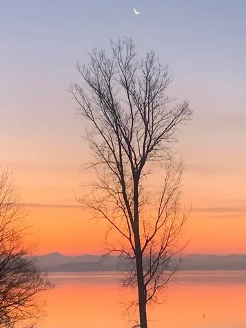 16 Turtle Bay Lane South Hero VT 05486