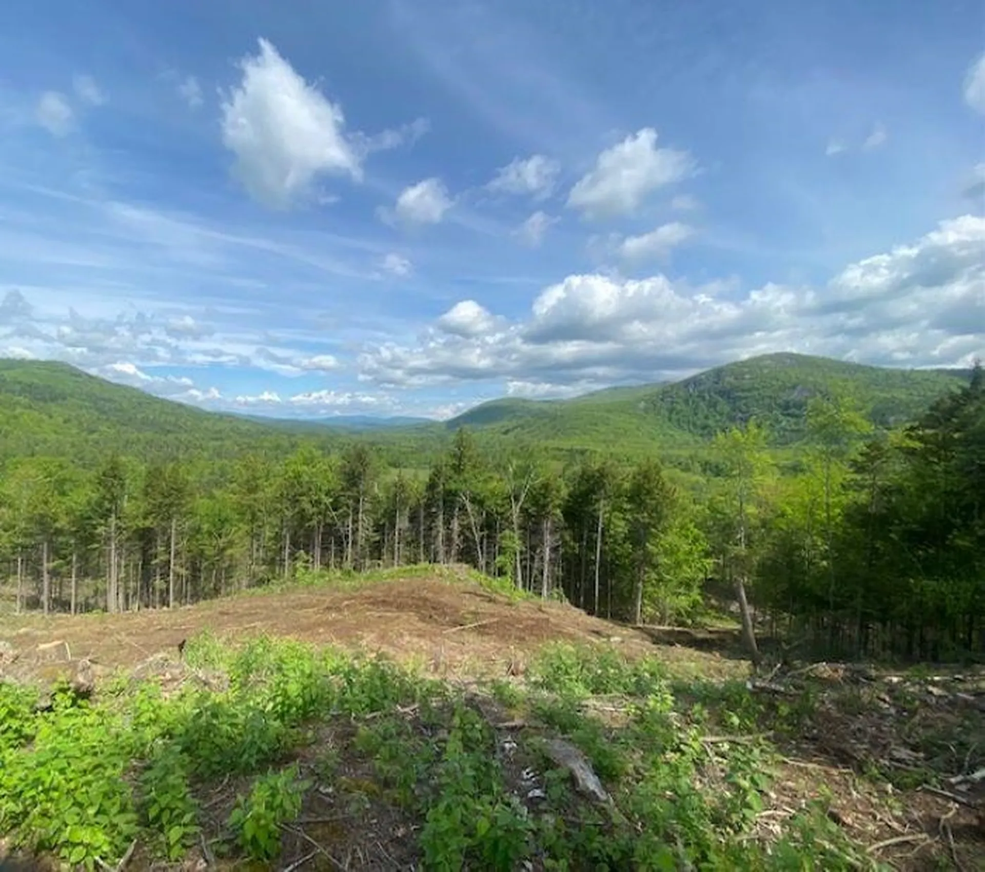 15-12-10-9 Jacob Hall Farm Road Rumney NH 03266-9998
