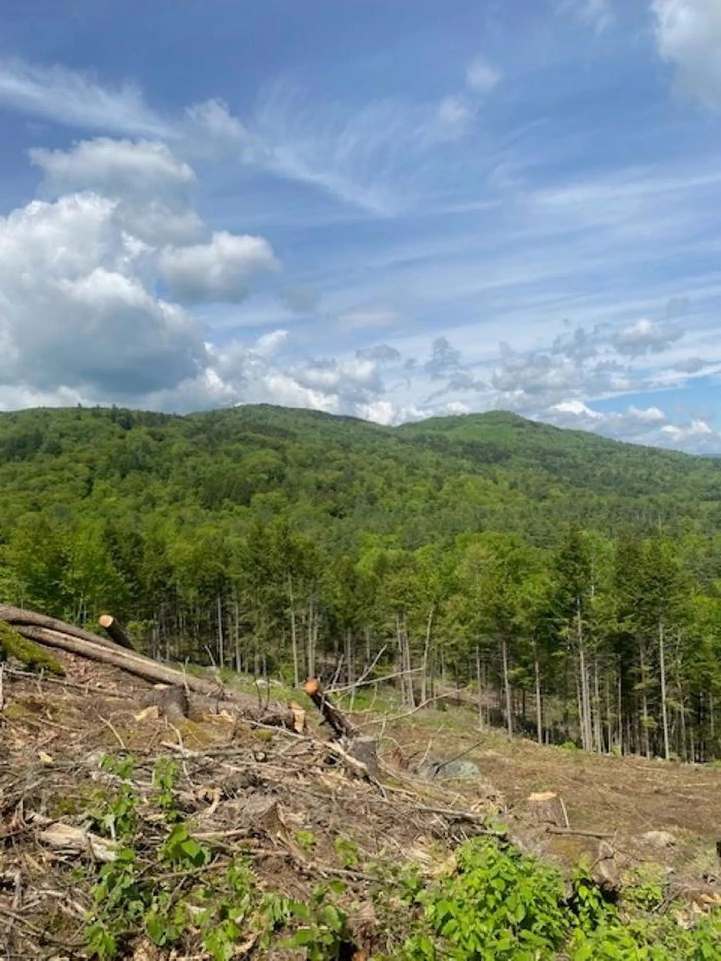 15-12-10-9 Jacob Hall Farm Road Rumney NH 03266-9998