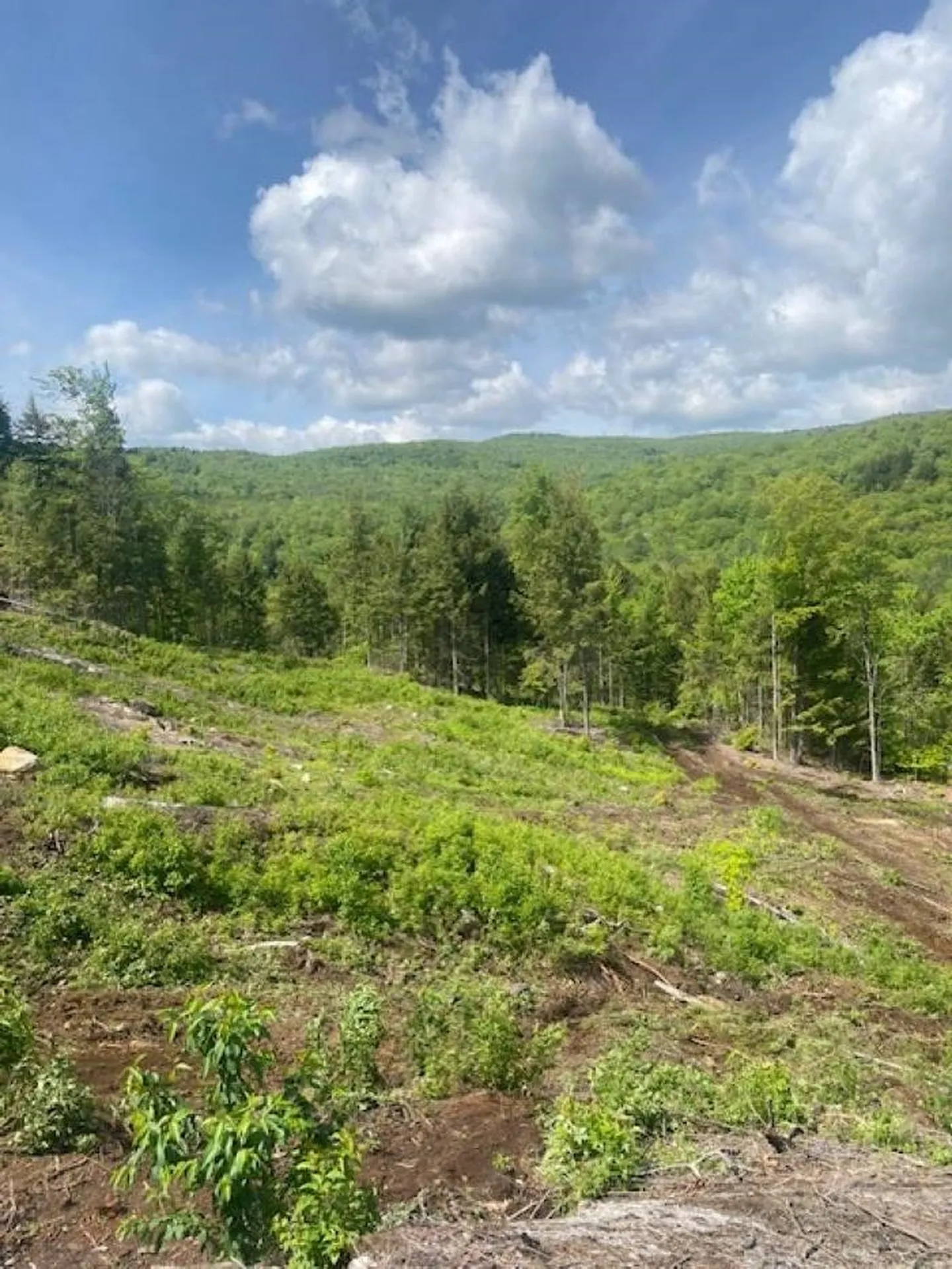 15-12-10-9 Jacob Hall Farm Road Rumney NH 03266-9998