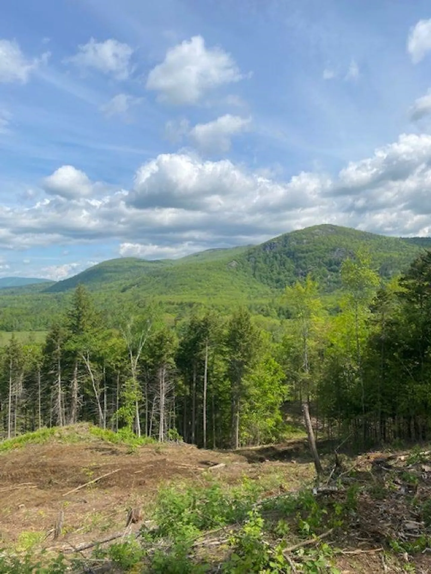 15-12-10-9 Jacob Hall Farm Road Rumney NH 03266-9998