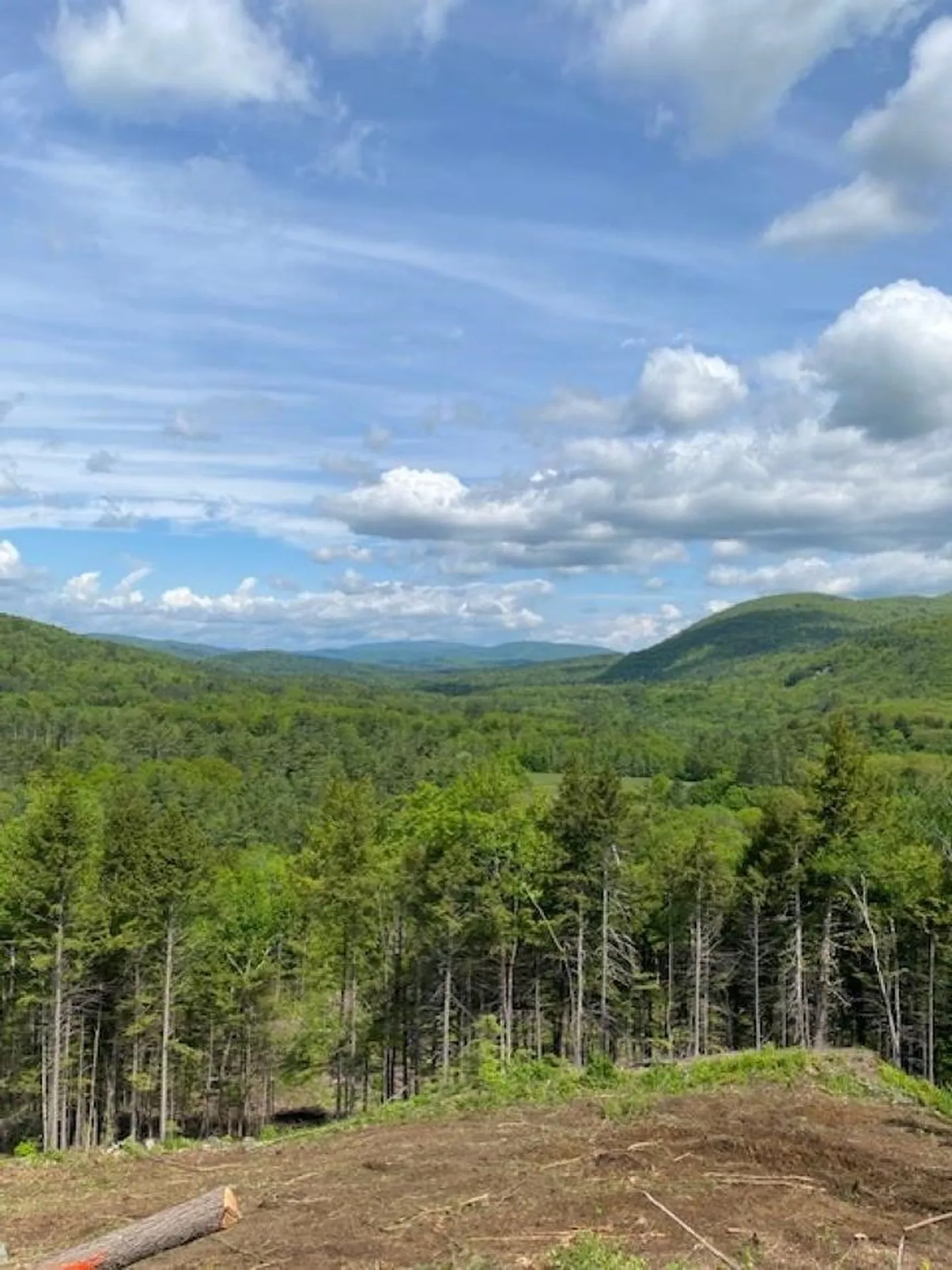 15-12-10-9 Jacob Hall Farm Road Rumney NH 03266-9998