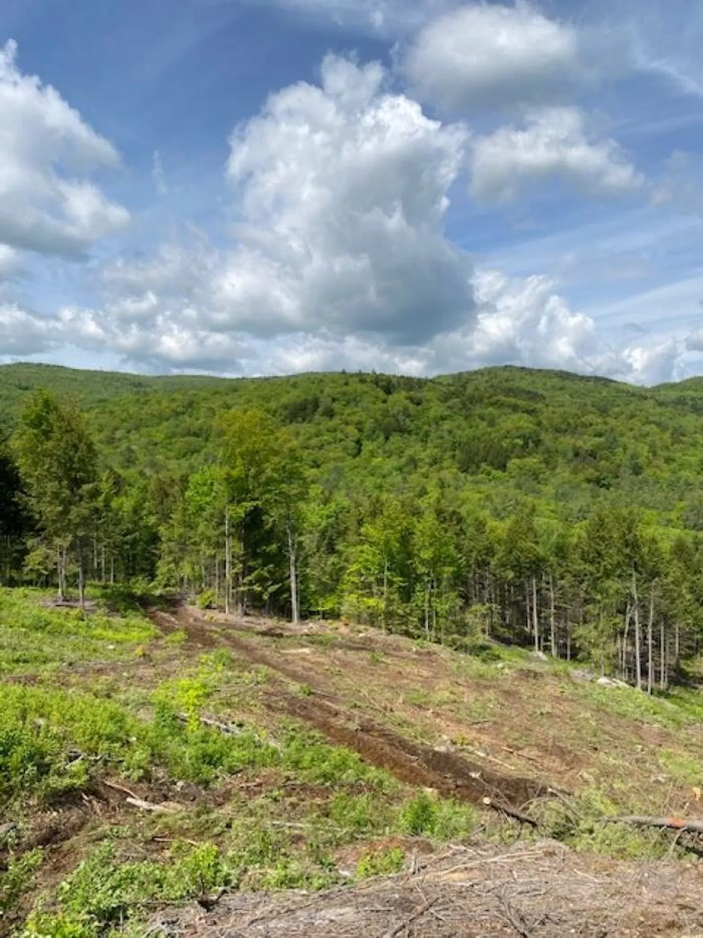 15-12-10-9 Jacob Hall Farm Road Rumney NH 03266-9998