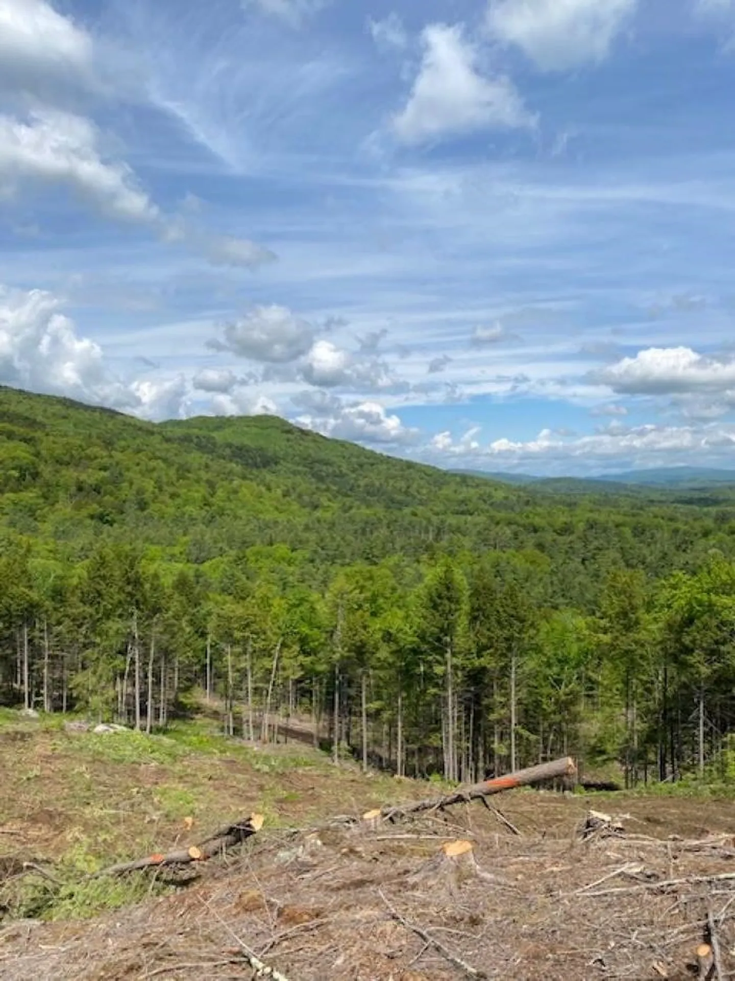 15-12-10-9 Jacob Hall Farm Road Rumney NH 03266-9998