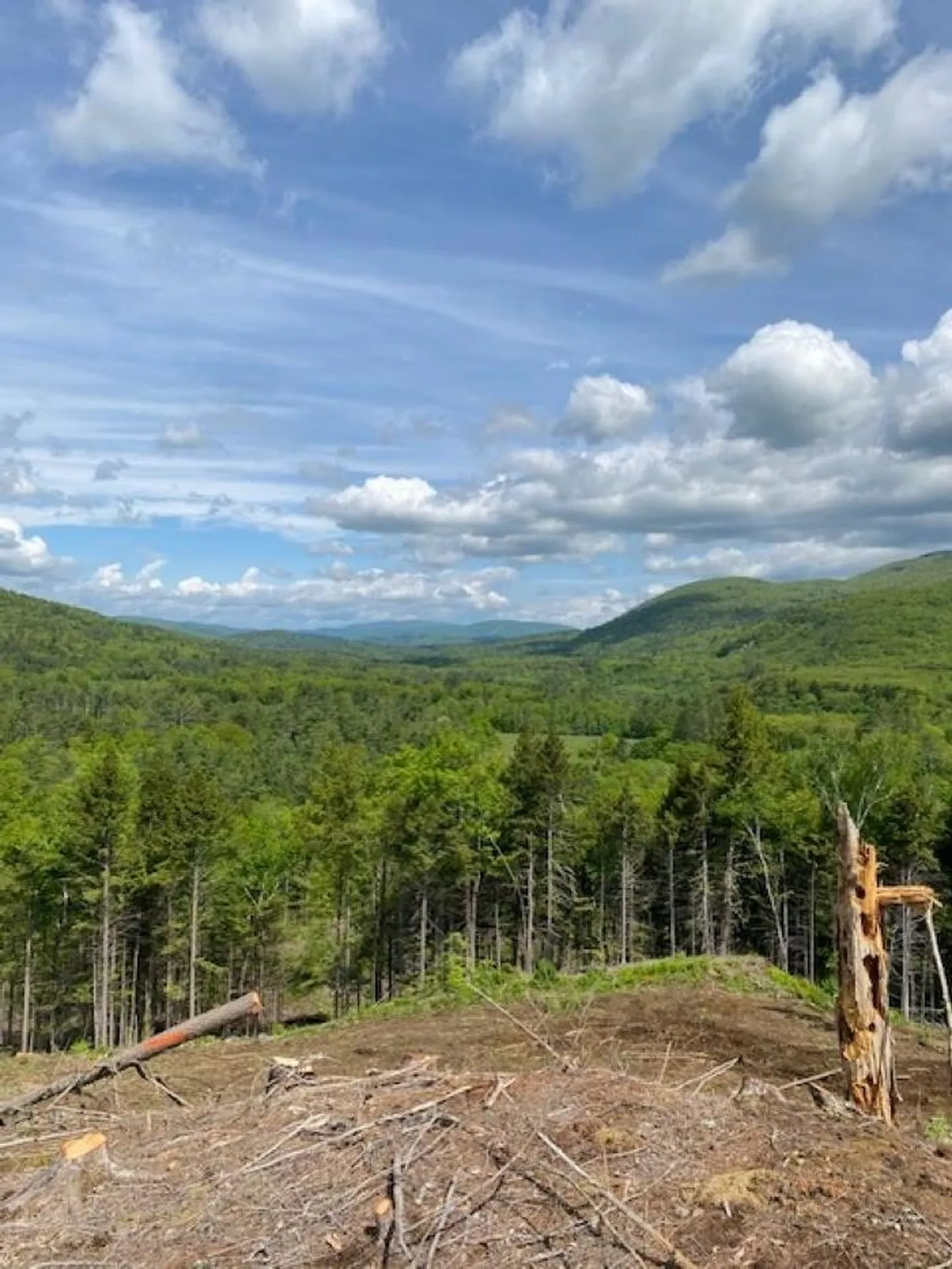 15-12-10-9 Jacob Hall Farm Road Rumney NH 03266-9998