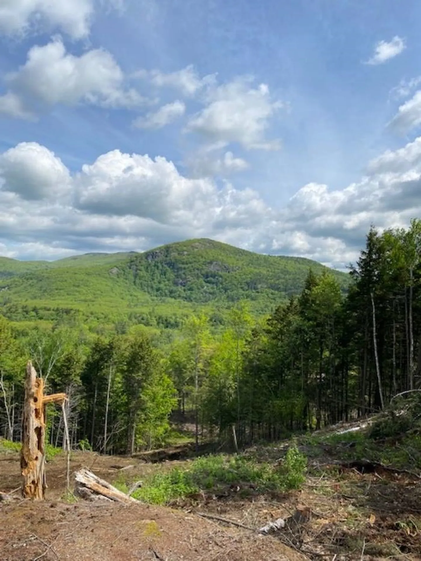 15-12-10-9 Jacob Hall Farm Road Rumney NH 03266-9998