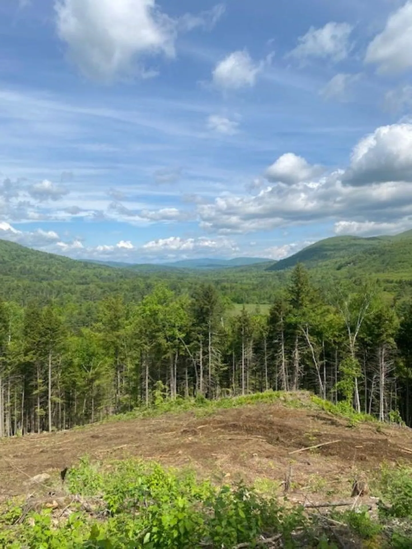 15-12-10-9 Jacob Hall Farm Road Rumney NH 03266-9998