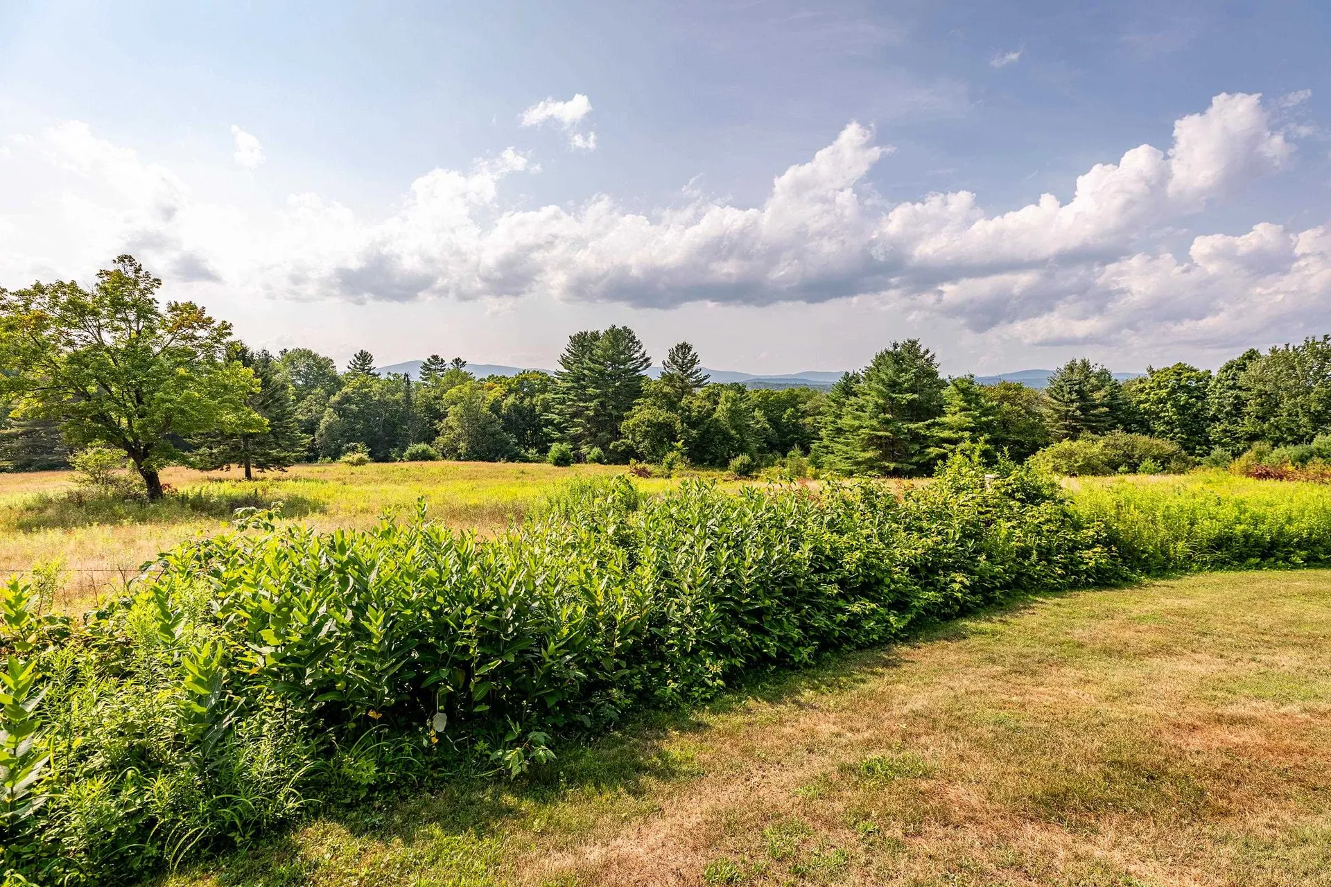 732 Under The Mountain Road Londonderry VT 05155