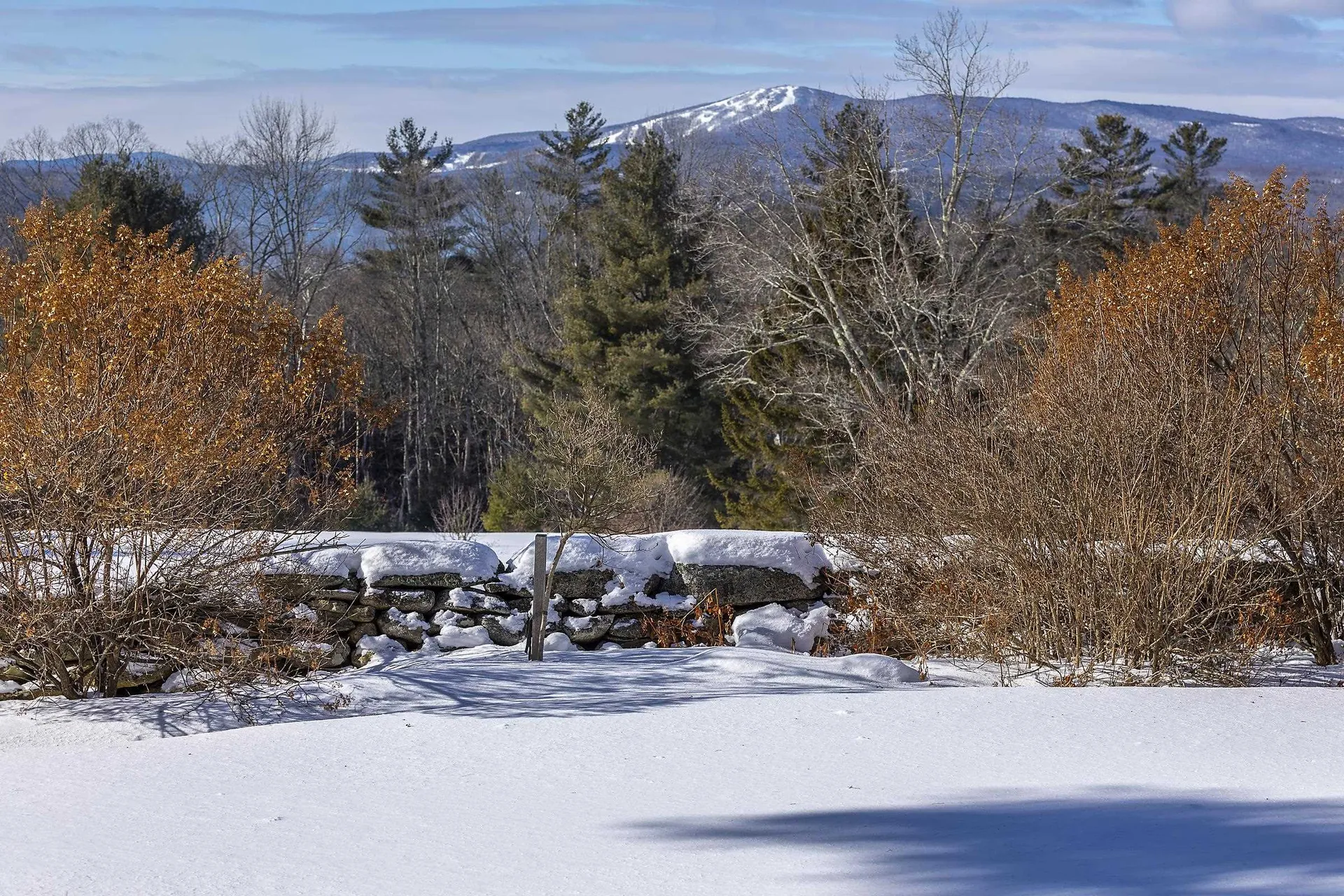 732 Under The Mountain Road Londonderry VT 05155