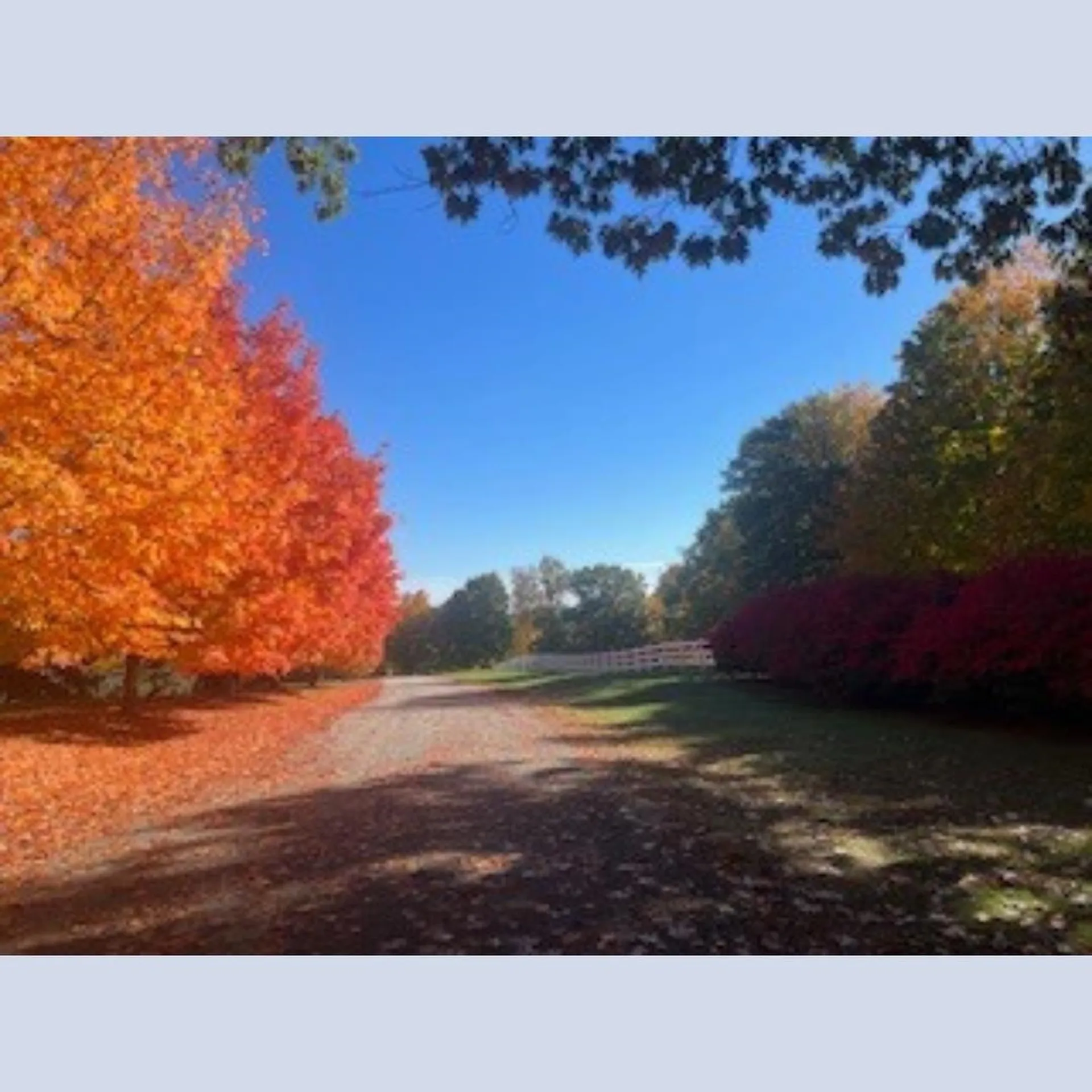 19 Green Road Amherst NH 03031