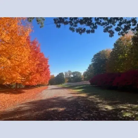 19 Green Road Amherst NH 03031