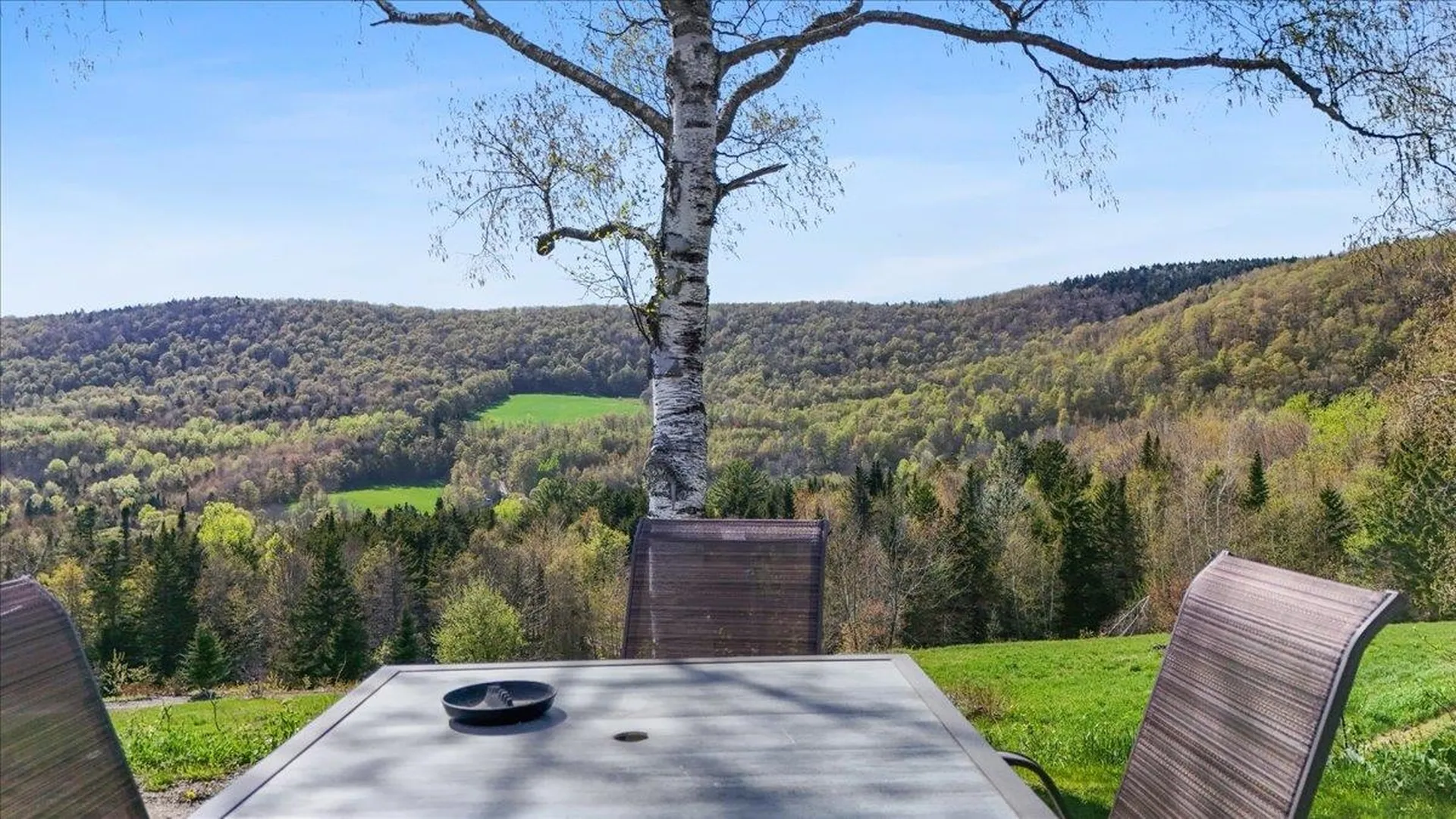 1595 Steele Hill Road Roxbury VT 05669