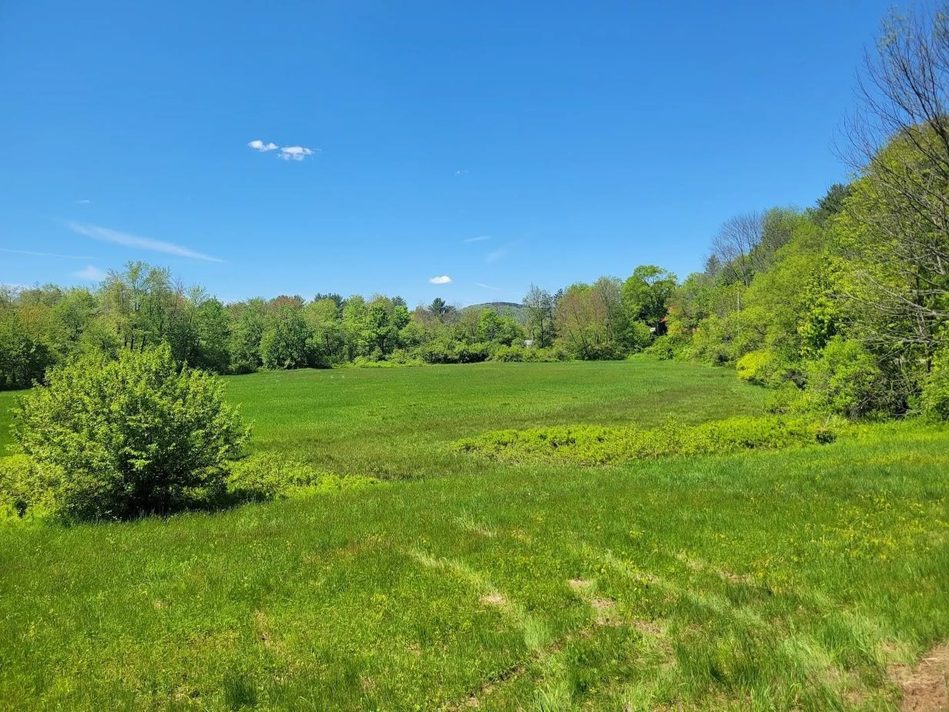 LOT91 Eastern District Road Danbury NH 03230