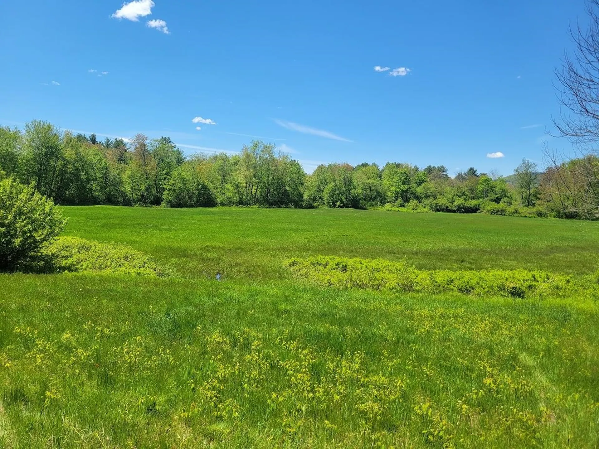 LOT91 Eastern District Road Danbury NH 03230