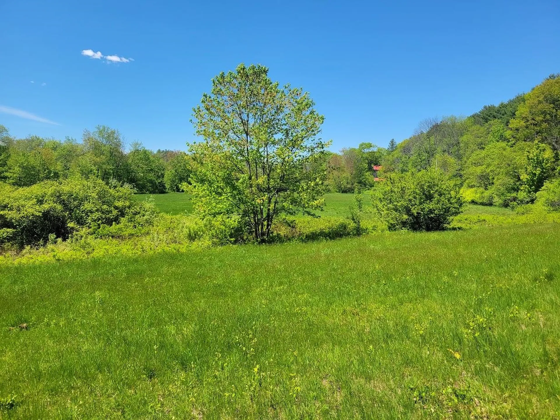 LOT91 Eastern District Road Danbury NH 03230