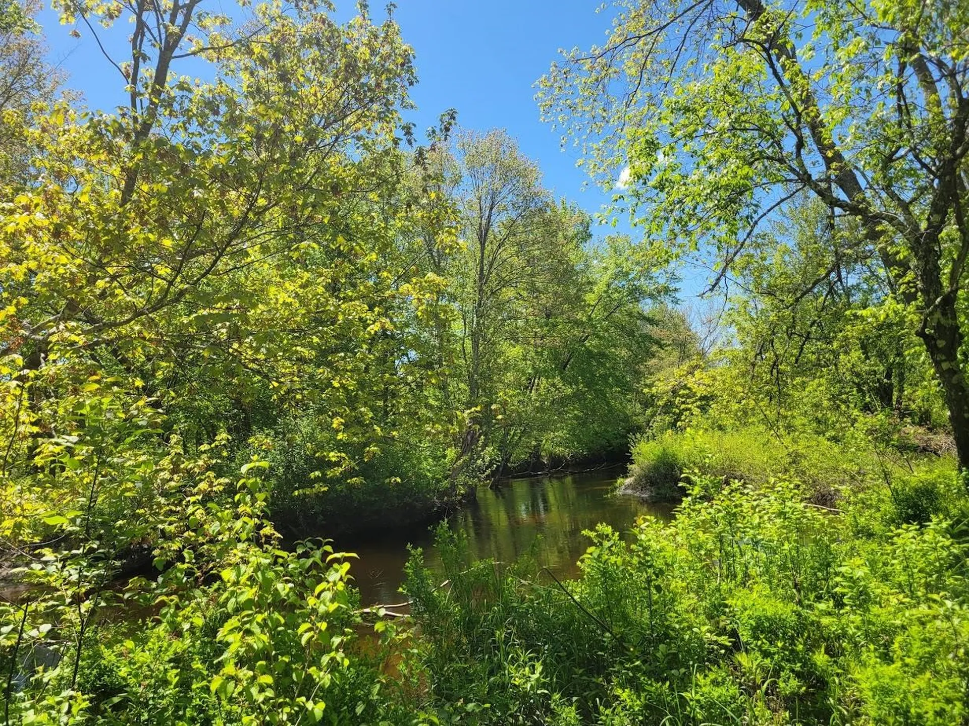 LOT91 Eastern District Road Danbury NH 03230