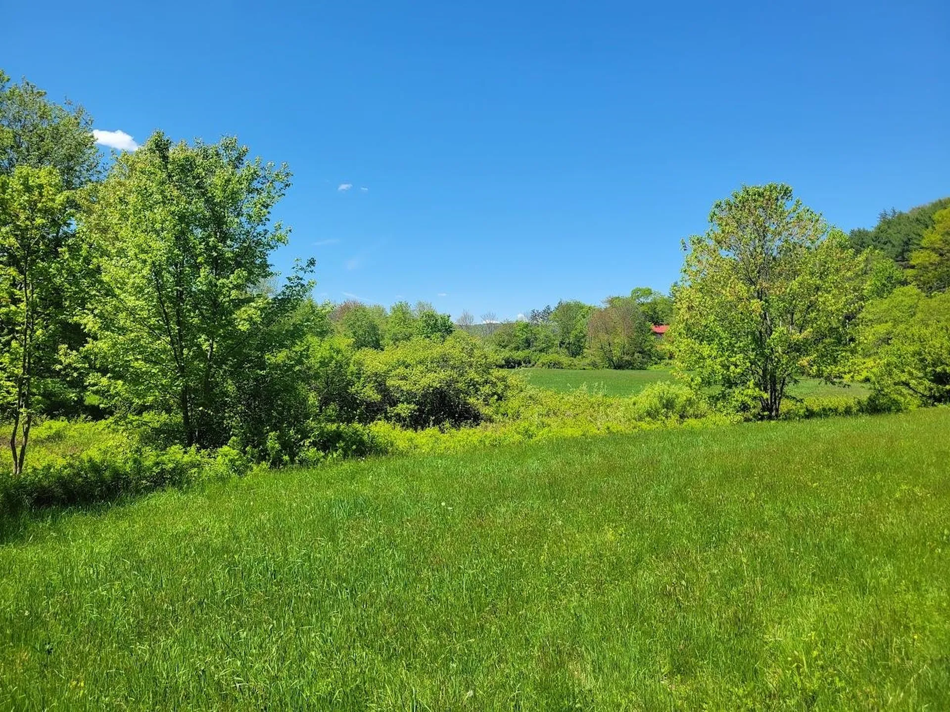 LOT91 Eastern District Road Danbury NH 03230