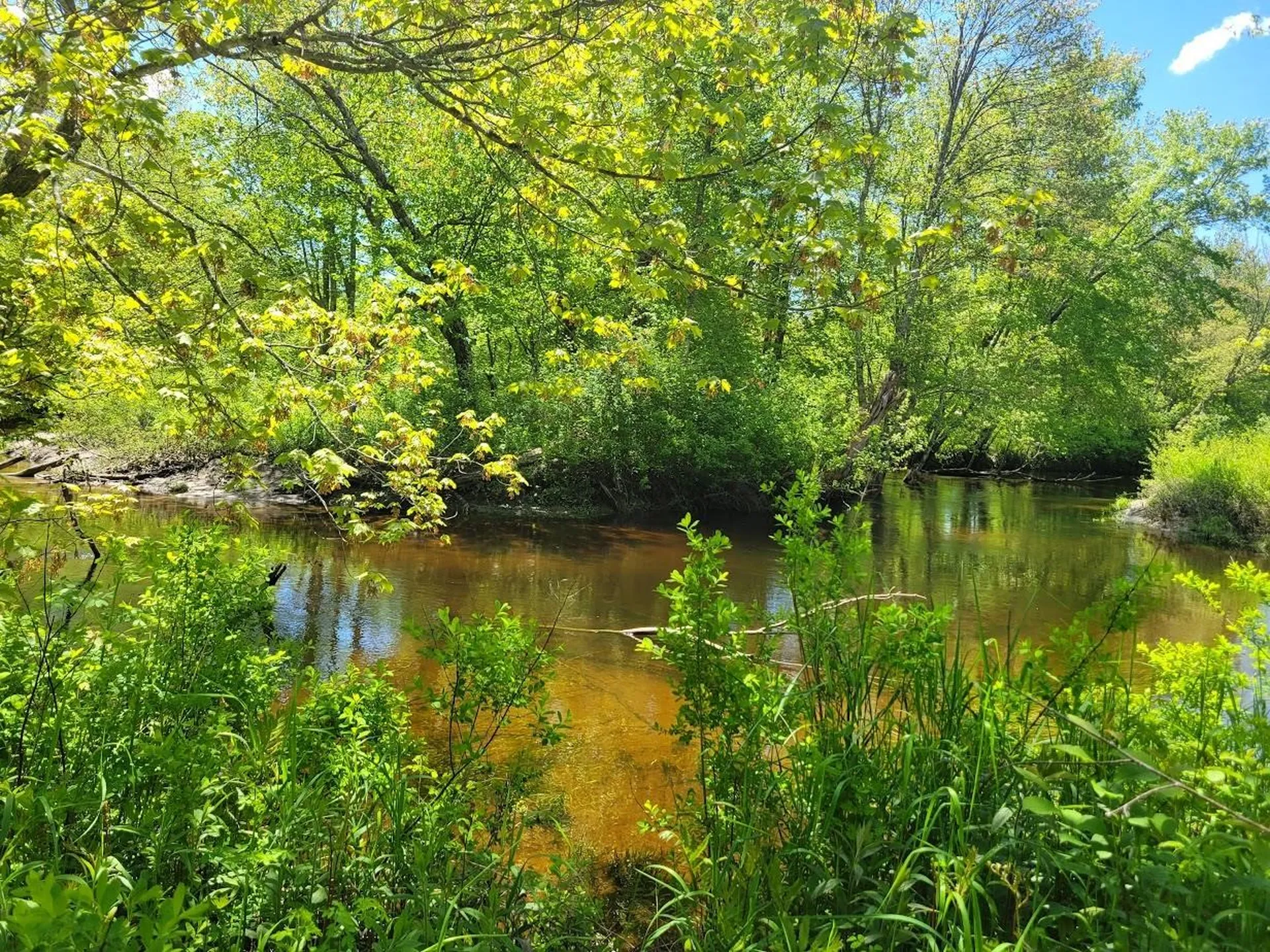 LOT91 Eastern District Road Danbury NH 03230