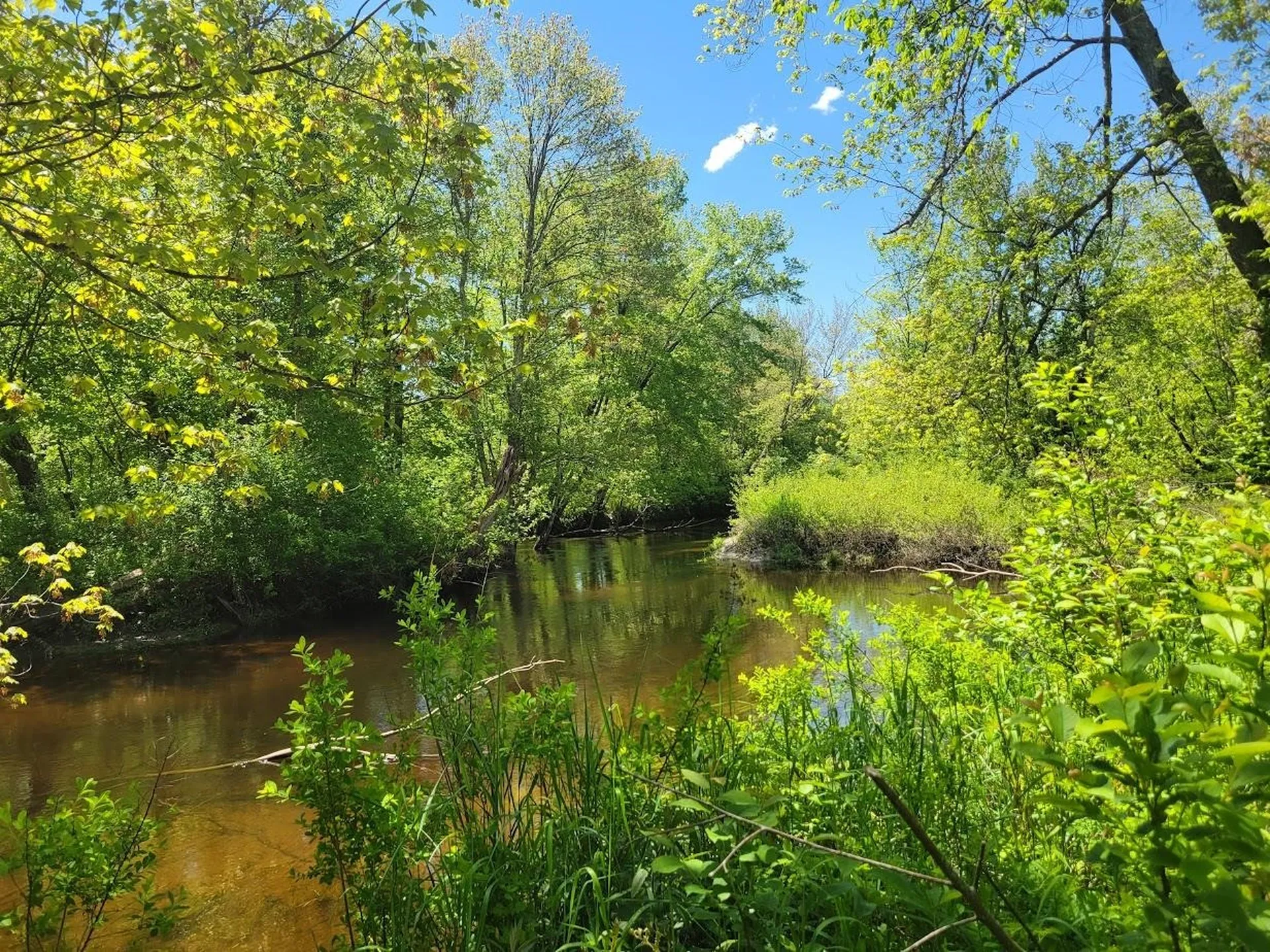 LOT91 Eastern District Road Danbury NH 03230