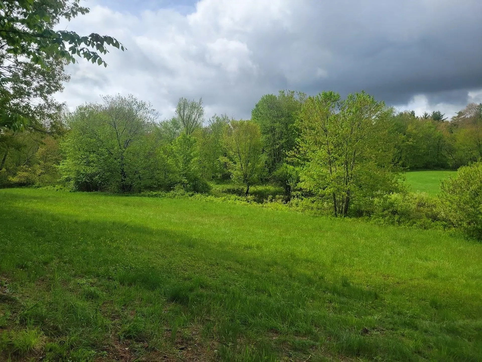 LOT91 Eastern District Road Danbury NH 03230