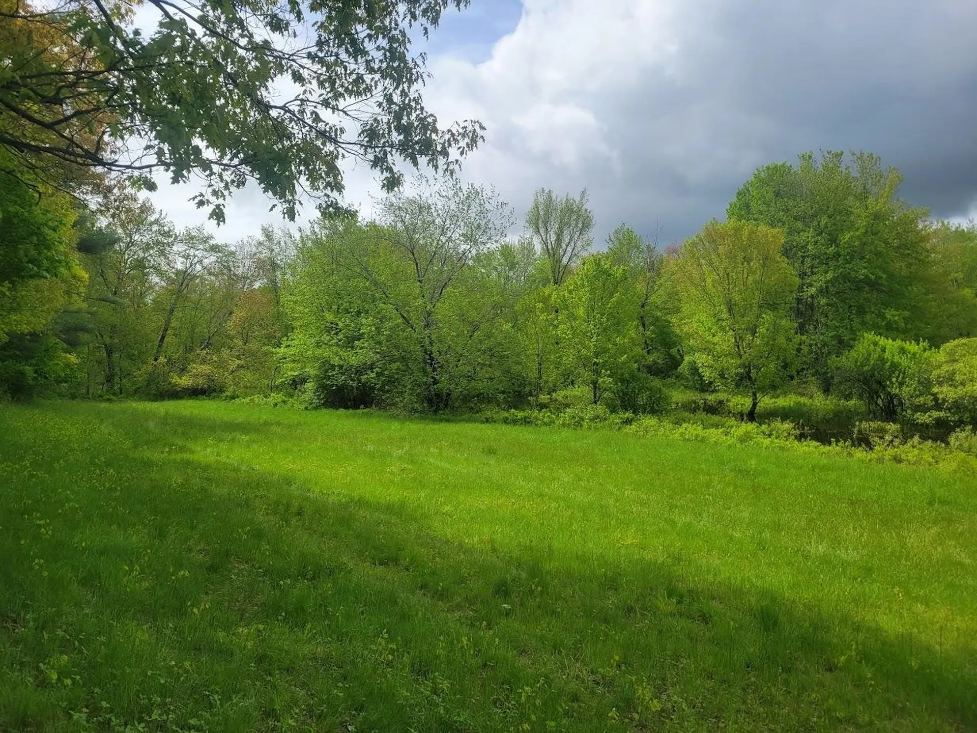 LOT91 Eastern District Road Danbury NH 03230