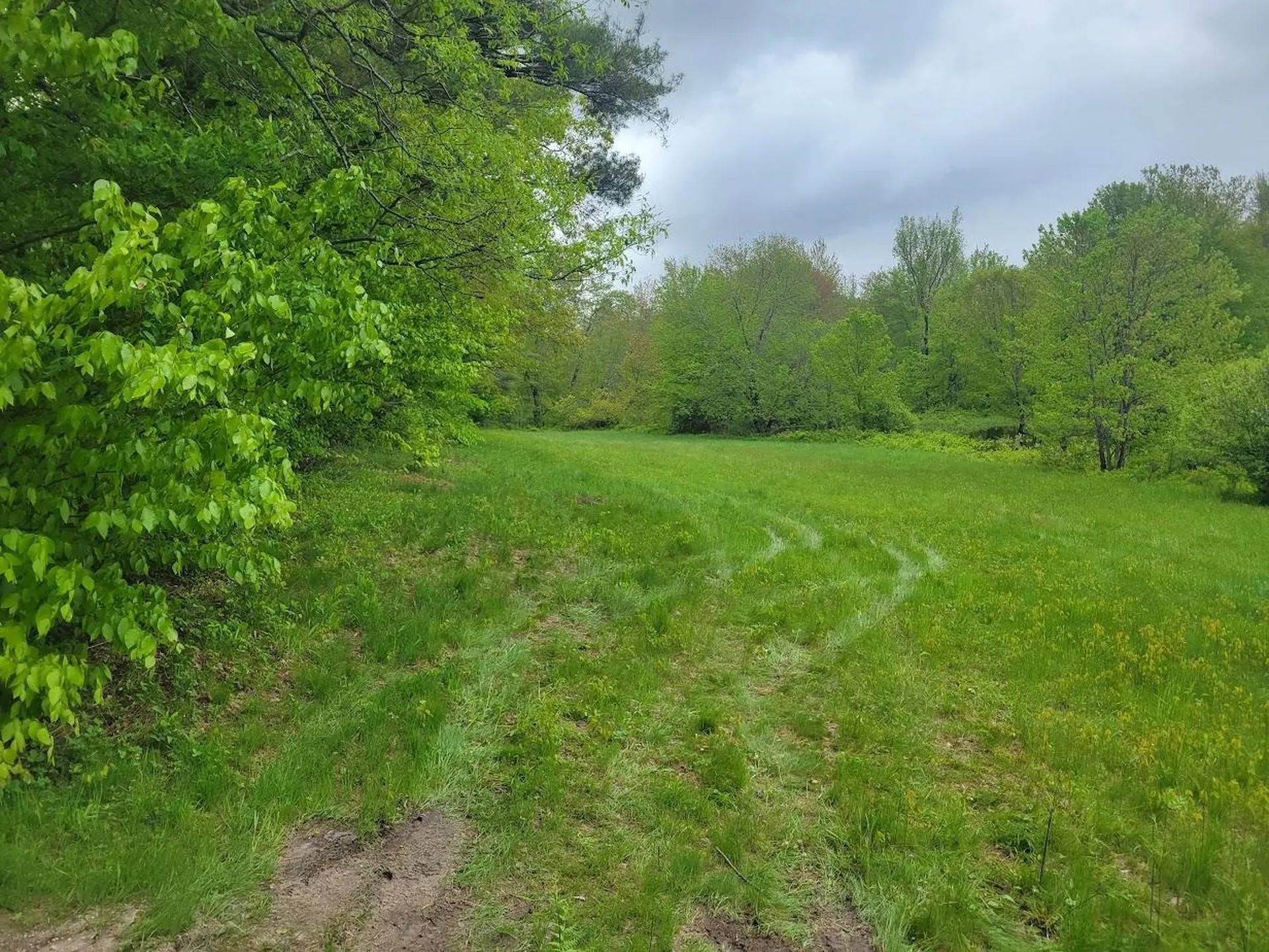 LOT91 Eastern District Road Danbury NH 03230