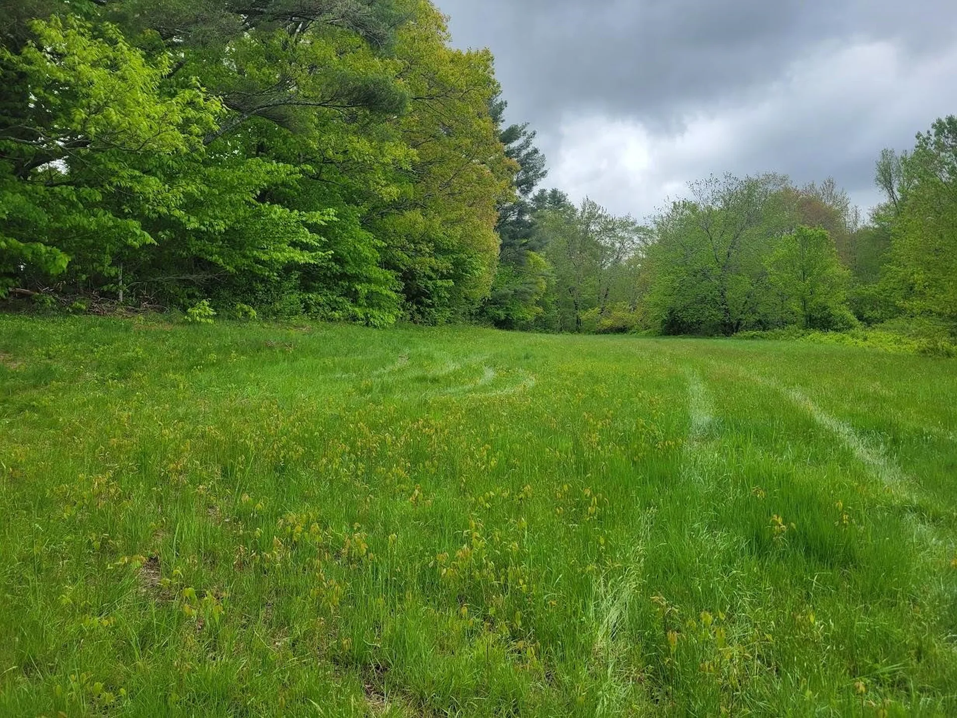 LOT91 Eastern District Road Danbury NH 03230