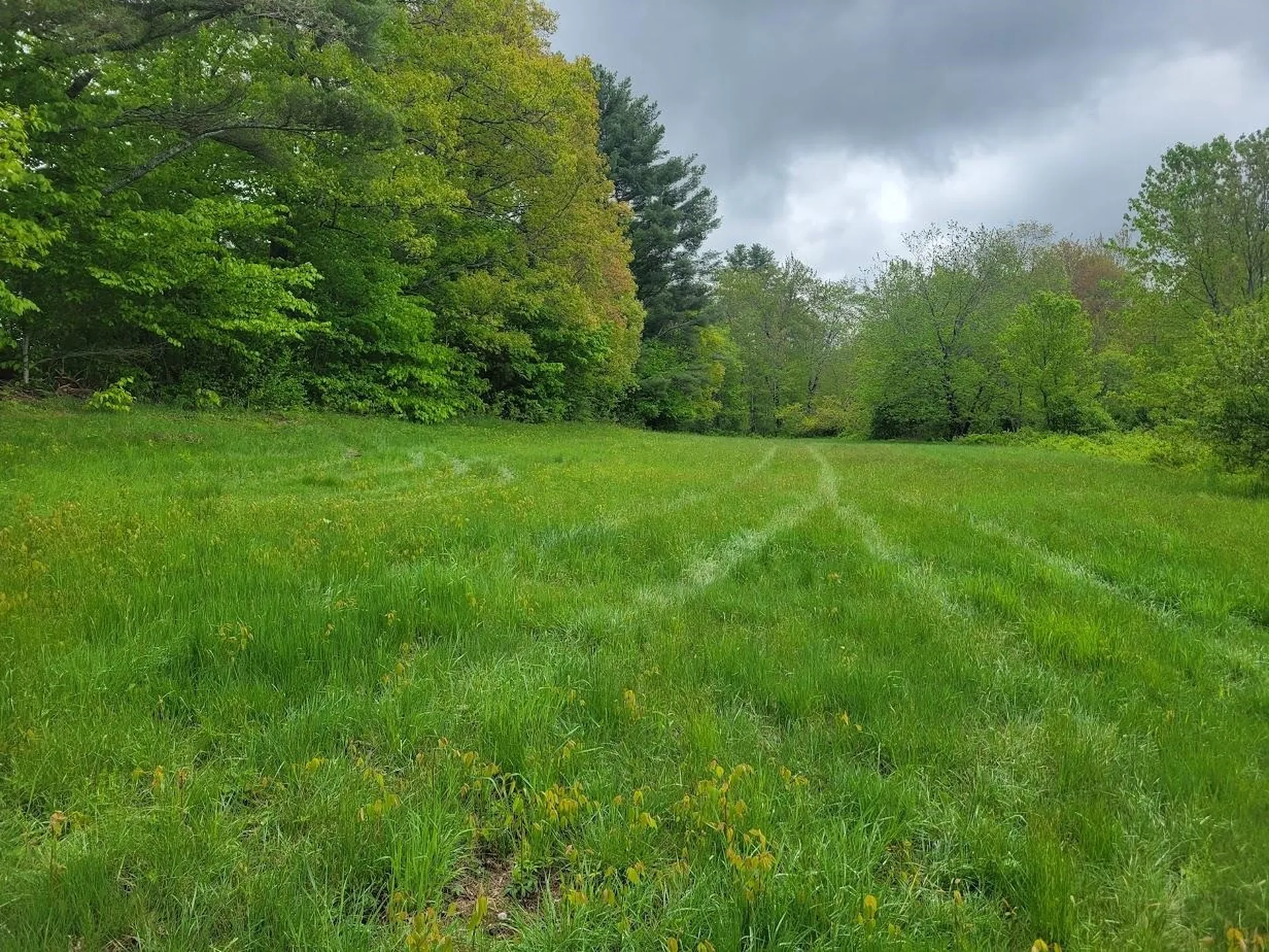 LOT91 Eastern District Road Danbury NH 03230