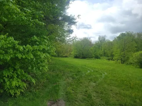Lot91 Eastern District Road Danbury NH 03230