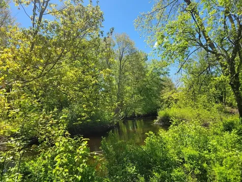 Lot91 Eastern District Road Danbury NH 03230