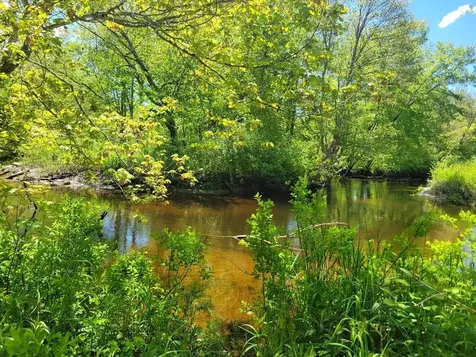 Lot91 Eastern District Road Danbury NH 03230