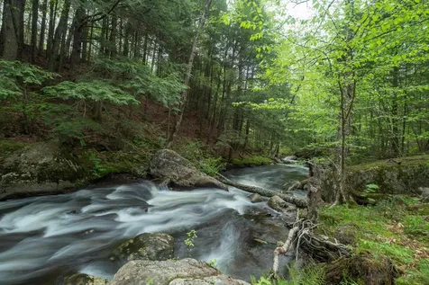 1808 Stinson Lake Road Rumney NH 03266