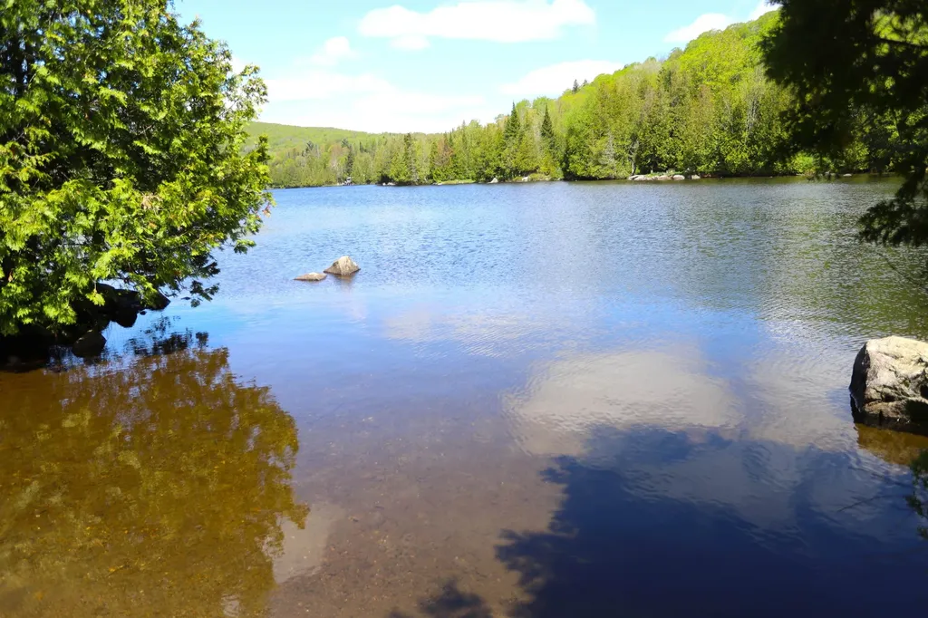 78 Daniels Pond Road Glover VT 05839