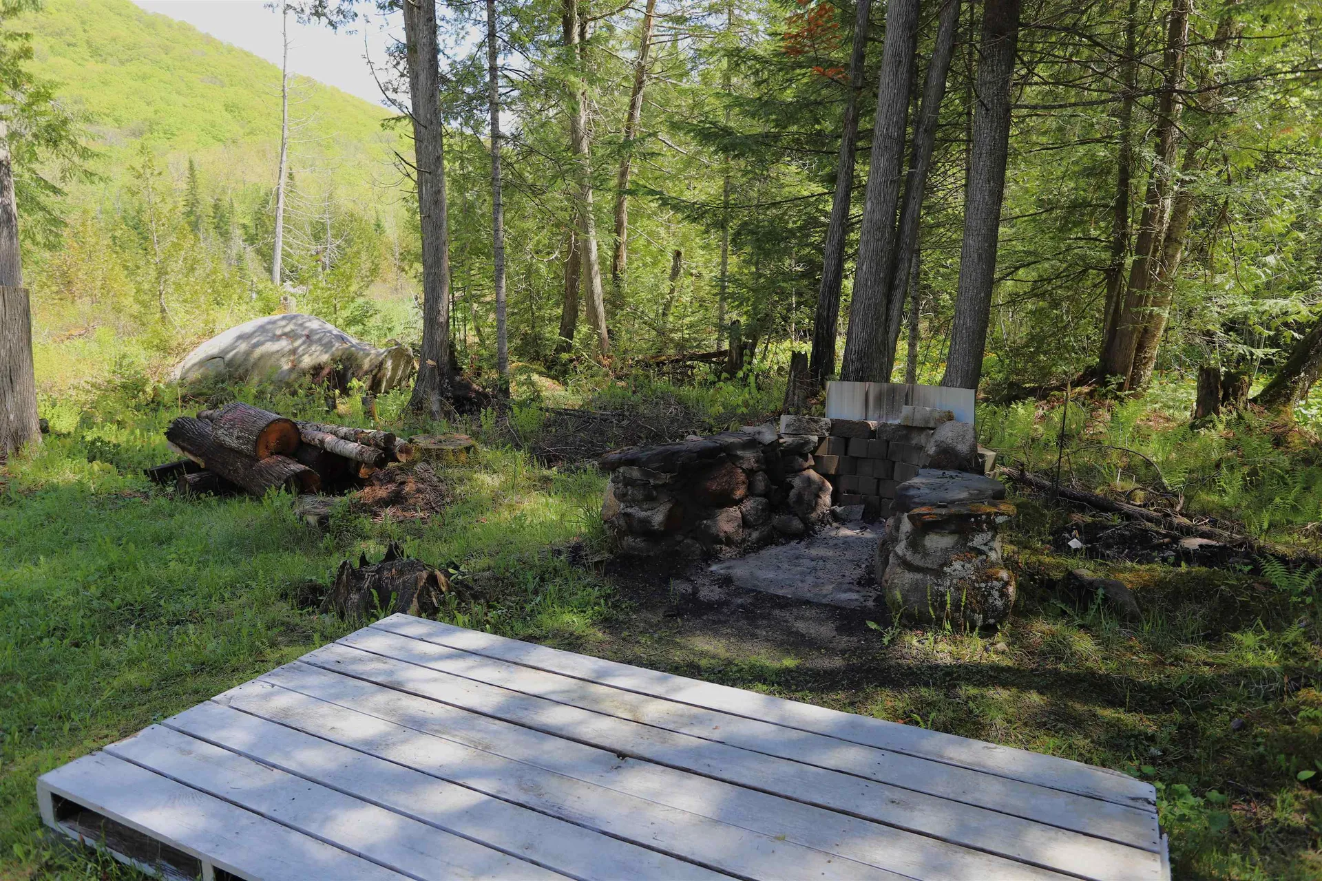 78 Daniels Pond Road Glover VT 05839