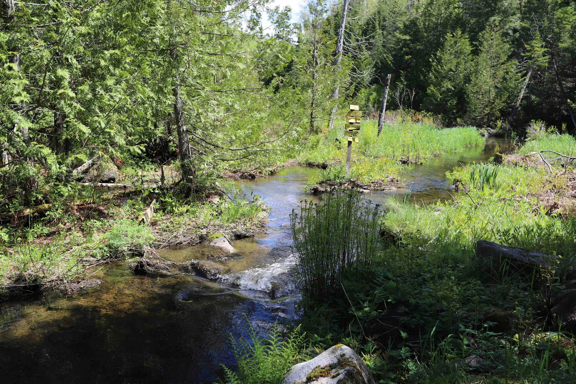 78 Daniels Pond Road Glover VT 05839