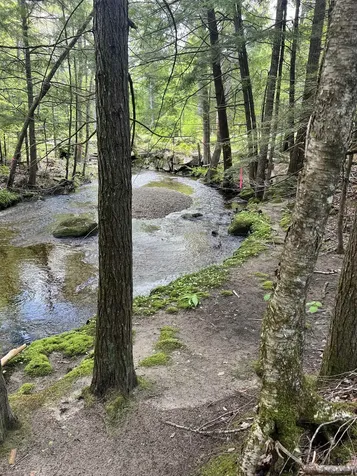 00 Cross Road Wentworth NH 03282