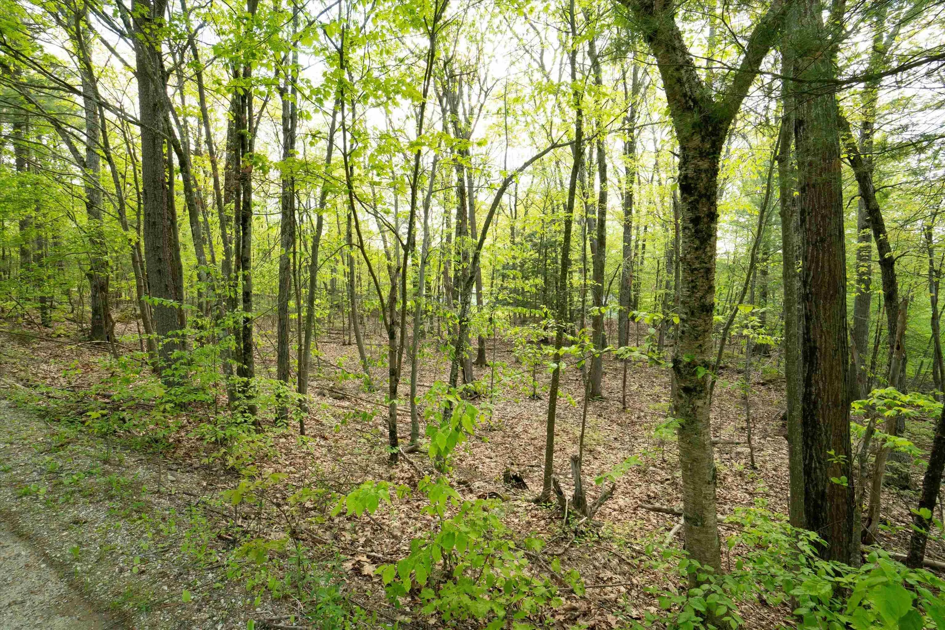 811 Turnpike Road New Ipswich NH 03071