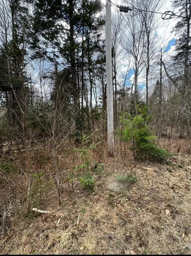 74 Antler Loop Dover VT 05356